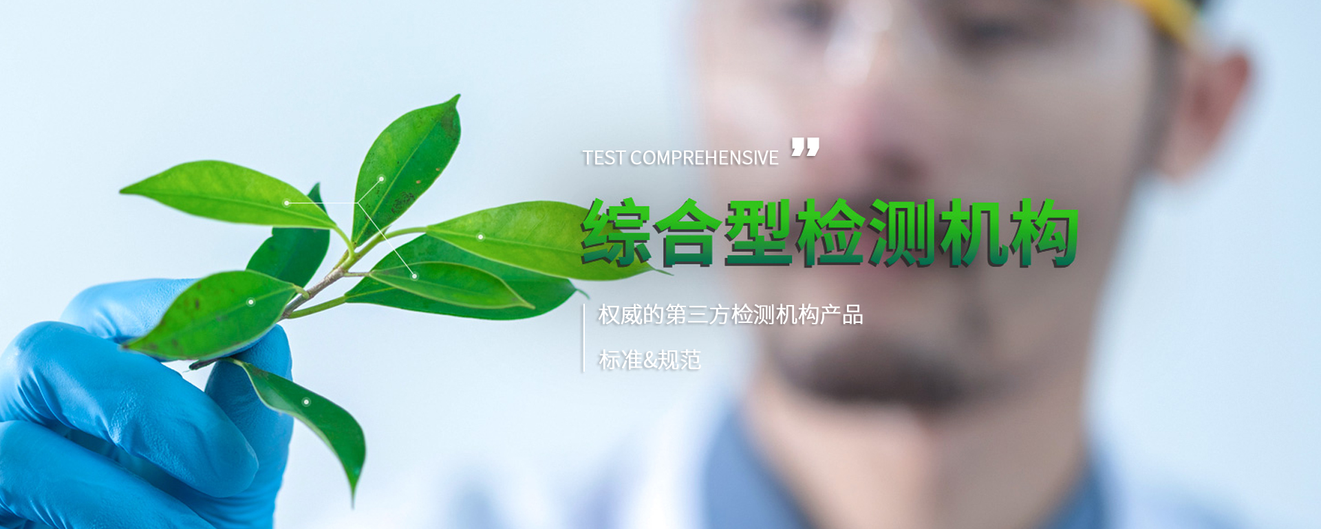 广告标题